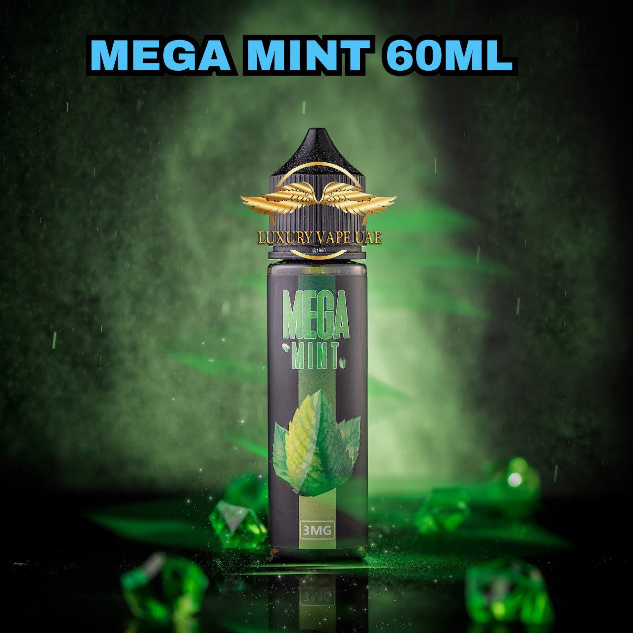 Mint Ice 60ML by Mega E-Juice|