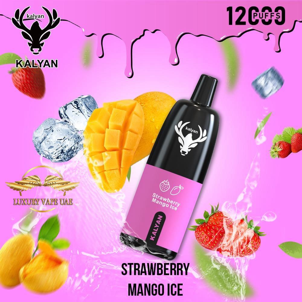 Buy Kalyan Vape12000 Puffs Disposable Pen