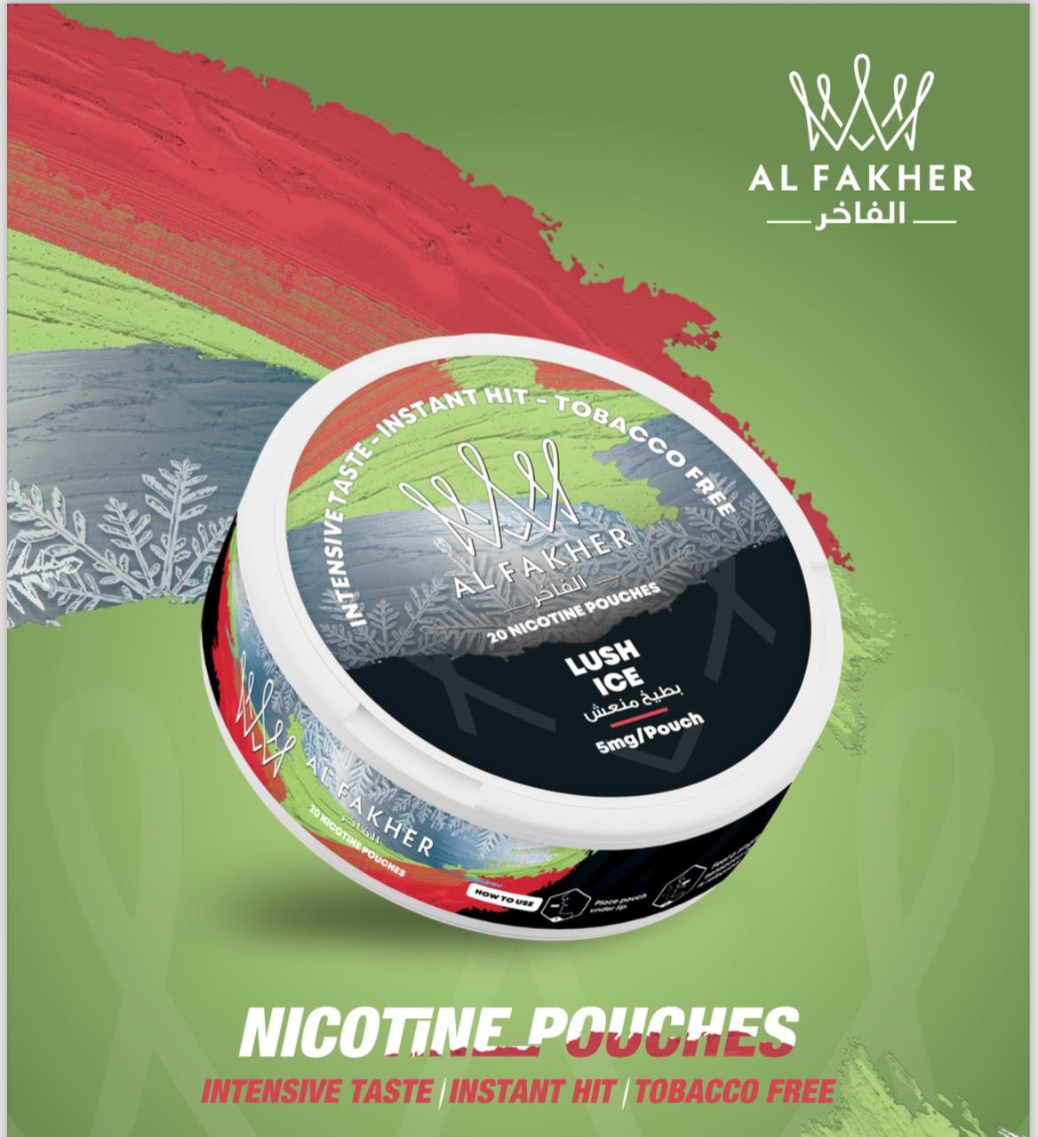 https://vape24.ai/collections/nicotine-pouches