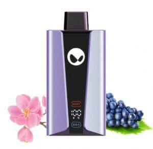 WAKA SoPro 20000 Puffs| Disposable Vape- Double Mesh|