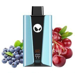 WAKA SoPro 20000 Puffs| Disposable Vape- Double Mesh|