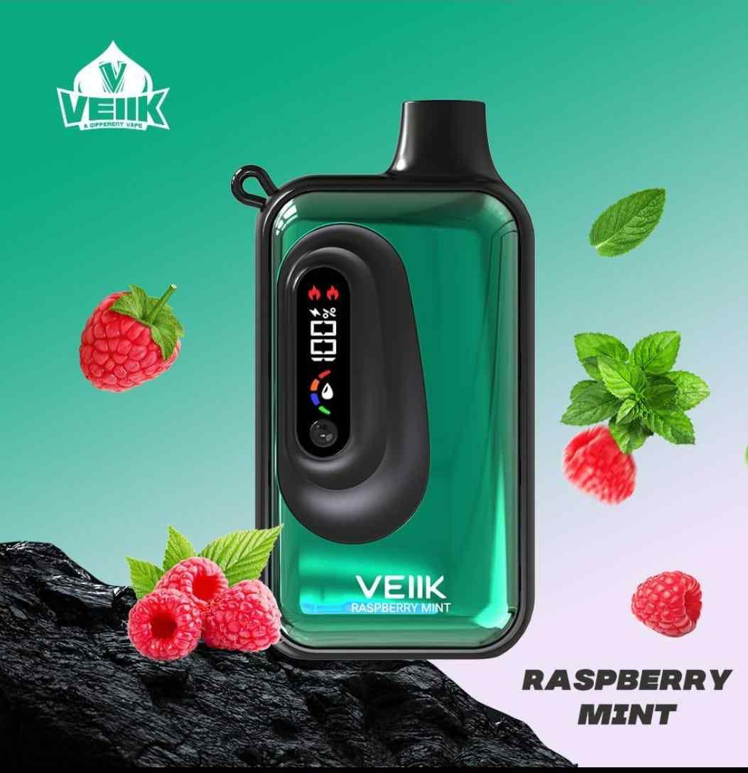 Veiik Space VKK 20000 Puffs Disposable Vape All Flavors|