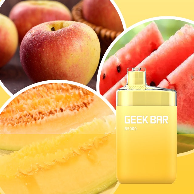 Buy GEEK BAR B5000 PUFFS -Dubai