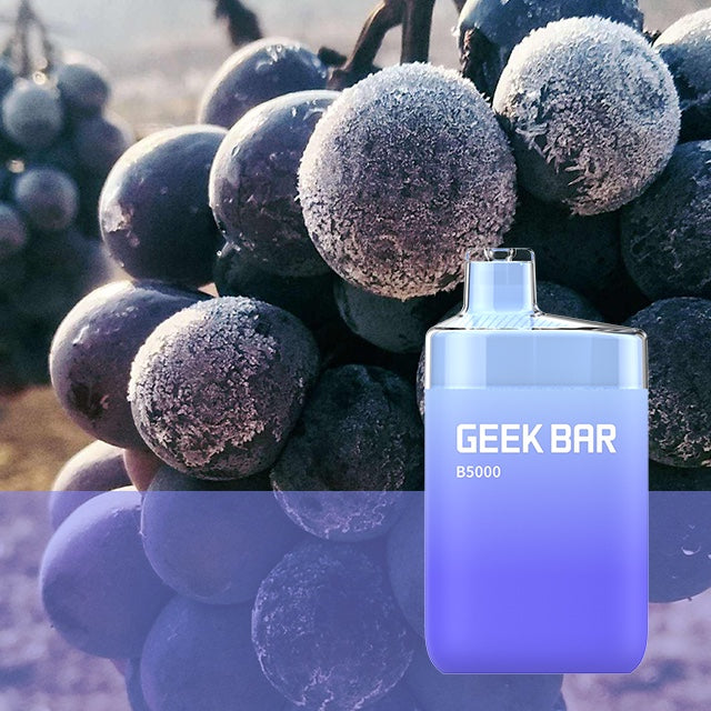 Buy GEEK BAR B5000 PUFFS -Dubai