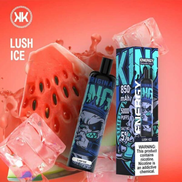 New KK ENERGY 5000 Puffs Rechargeable Disposable