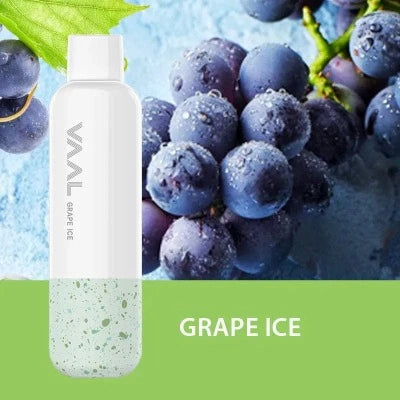 NEW VAAL EP-4500 REACHARGEABLE DISPOSABLE