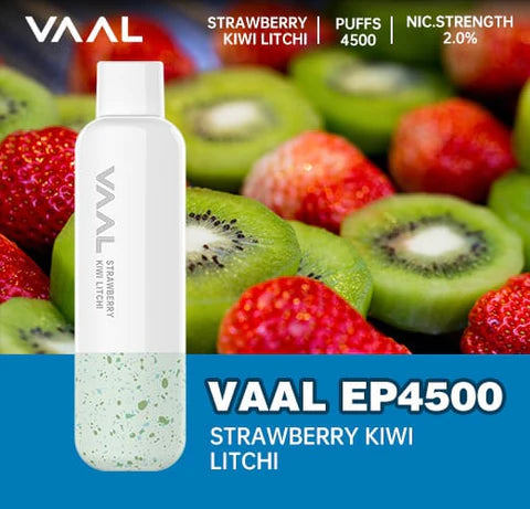 NEW VAAL EP-4500 REACHARGEABLE DISPOSABLE