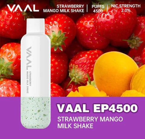 NEW VAAL EP-4500 REACHARGEABLE DISPOSABLE