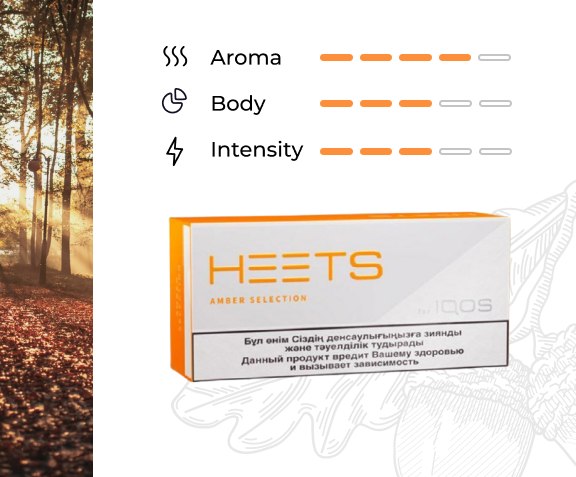 https://vape24.ai/collections/heets-terea