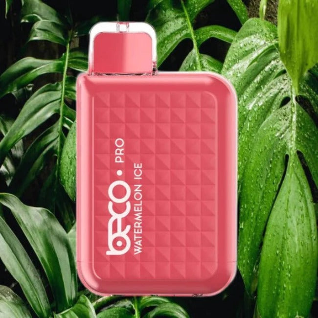 BECO PRO 6000 puffs disposable 5% in uae