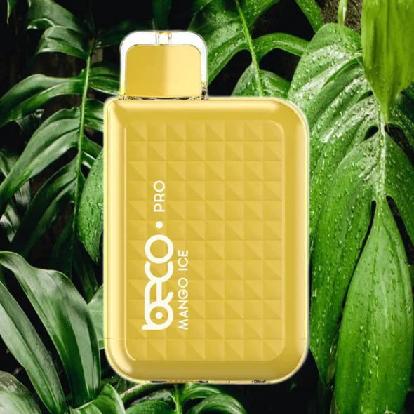 BECO PRO 6000 puffs disposable 5% in uae