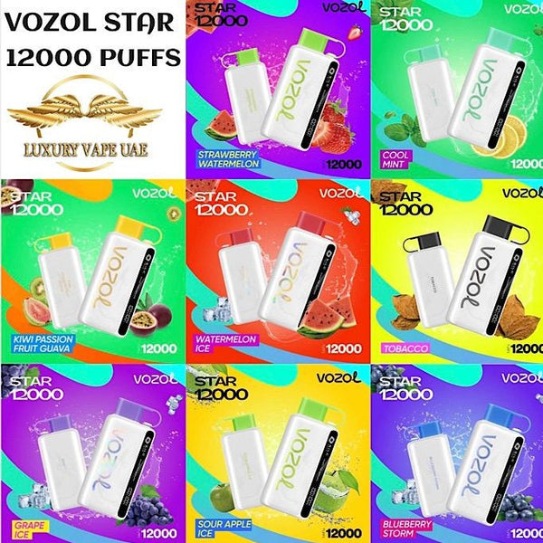 elfbar elfa master akku Vozol Star 2000 Puffs Mango Ice 5% main image 1