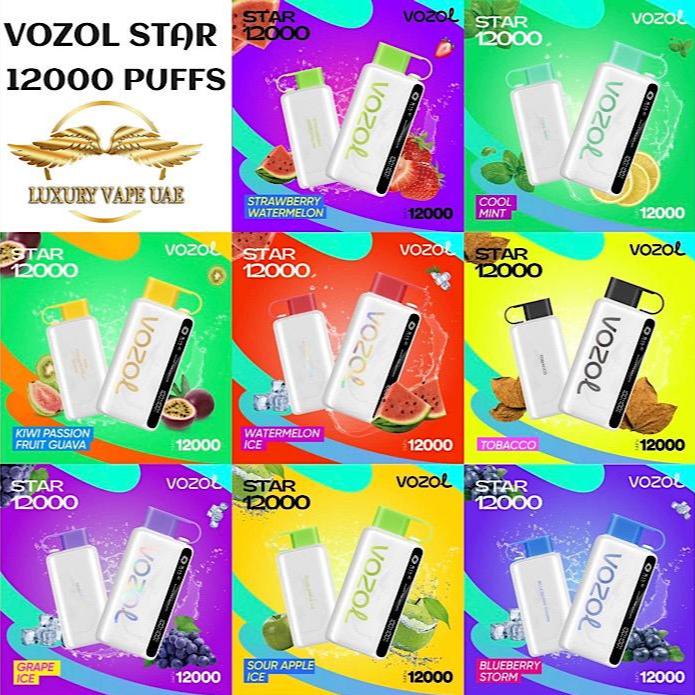 Vozol Star 12000 Puffs With Smart Display| Luxury Smoke AE Vozol Star 12000 Puffs With Smart Display| Luxury Smoke AE