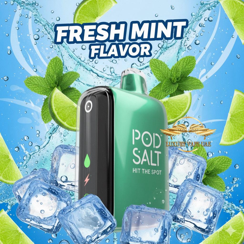 Pod Salt Vape with fresh Mint ice 